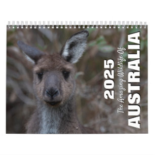 The Amazing Wildlife Animals of Australia Calendar