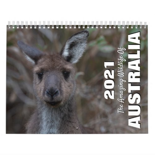 The Amazing Wildlife Animals of Australia Calendar