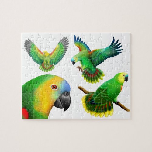 The Amazon Parrot Puzzle