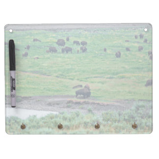 The American Bison Dry Erase Board With Keychain Holder