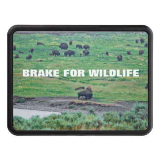 The American Bison Hitch Cover
