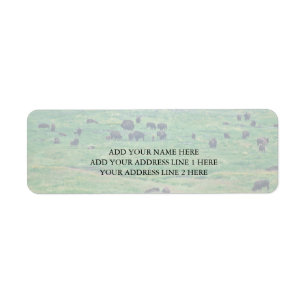 The American Bison Label