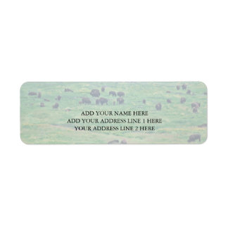 The American Bison Label