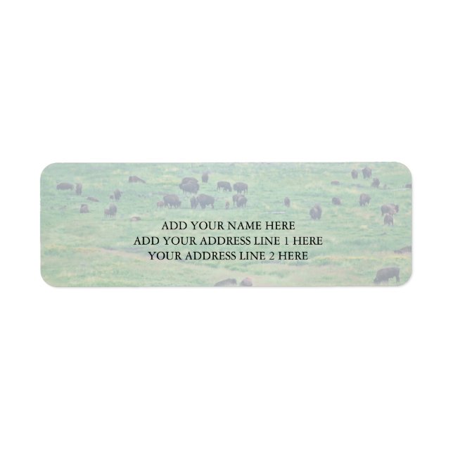 The American Bison Label (Front)