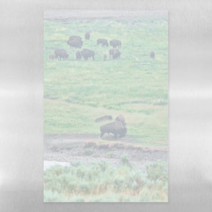 The American Bison Magnetic Dry Erase Sheet