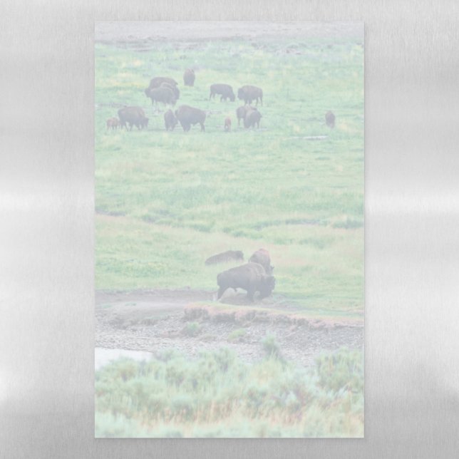 The American Bison Magnetic Dry Erase Sheet (Vertical)