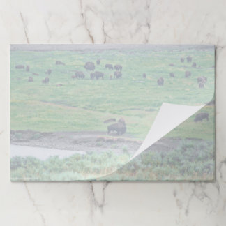 The American Bison Paper Pad