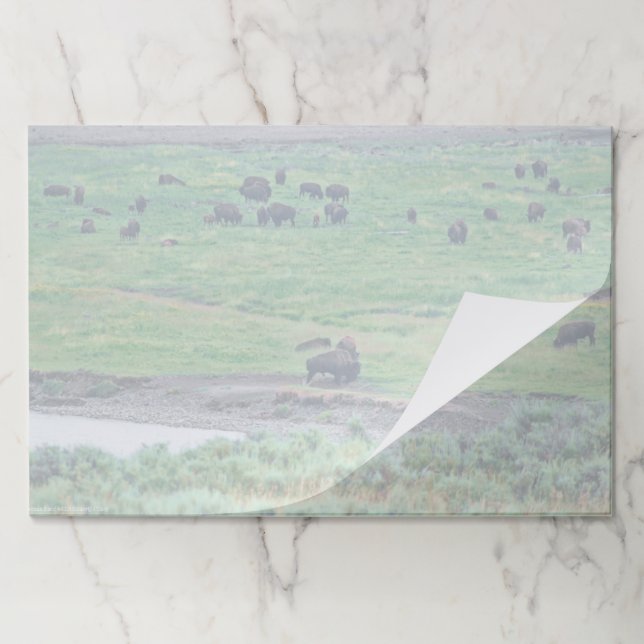 The American Bison Paper Pad (Folded)