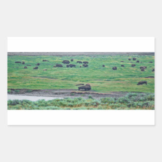 The American Bison Rectangular Sticker