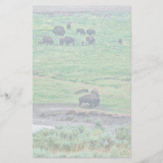 The American Bison Stationery