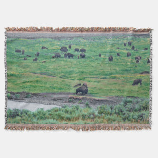 The American Bison Throw Blanket