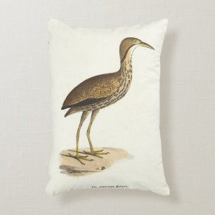 The American Bittern (Botaurus lentiginosus) Bird Accent Pillow