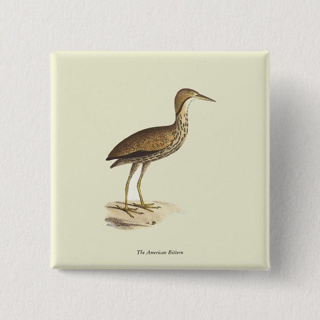 The American Bittern (Botaurus lentiginosus) Bird  Button (Front)