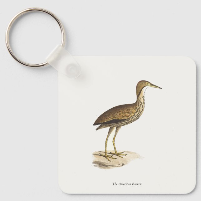 The American Bittern (Botaurus lentiginosus) Bird  Keychain (Front)