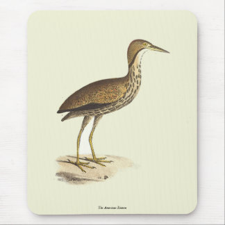 The American Bittern (Botaurus lentiginosus) Bird Mouse Pad