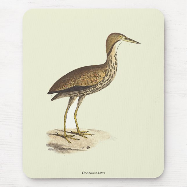 The American Bittern (Botaurus lentiginosus) Bird  Mouse Pad (Front)