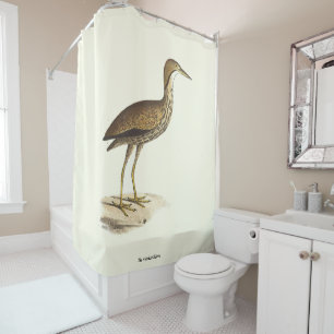 The American Bittern (Botaurus lentiginosus) Bird  Shower Curtain
