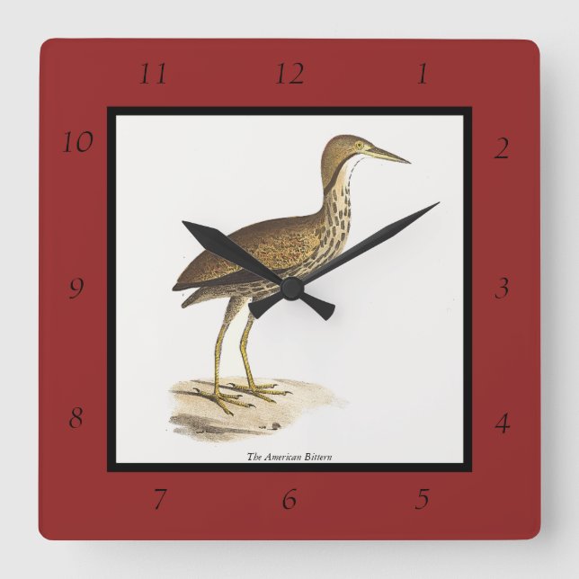 The American Bittern (Botaurus lentiginosus) Bird  Square Wall Clock (Front)