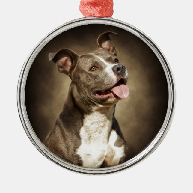 The American Blue Pit-Bull Metal Ornament (Front)