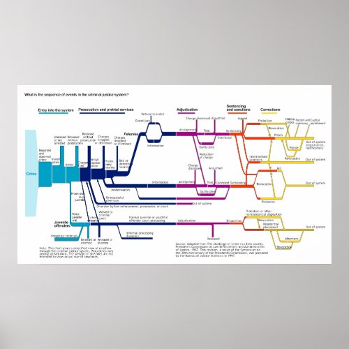 The American Criminal Justice System Flowchart Poster