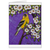 The American Goldfinch (Front)