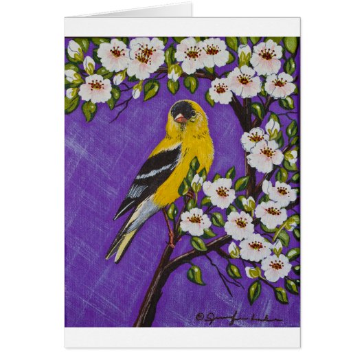 The American Goldfinch Cards (Front)