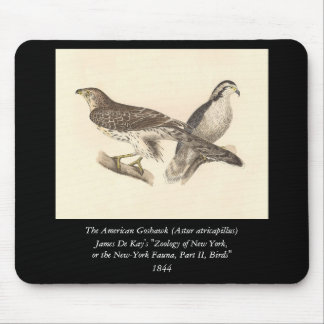 The American Goshawk (Astur atricapillus) Mouse Pad