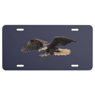 The American Hawk License Plate