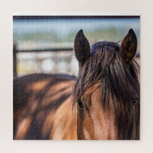 The American Quarter Horse Photos Jigsaw Puzzle