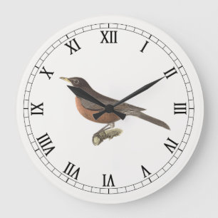 The American Robin (Turdus migratorius) NY Birds Large Clock