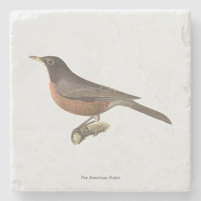 The American Robin (Turdus migratorius) NY Birds Stone Coaster (Front)