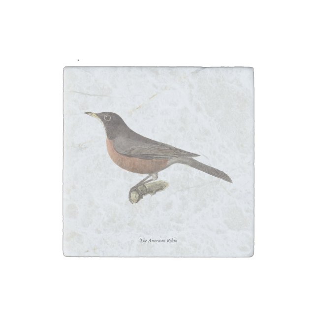 The American Robin (Turdus migratorius) NY Birds Stone Magnet (Fourth Magnet)