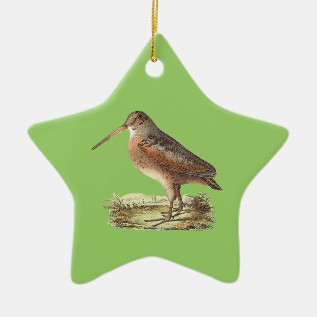 The American Woodcock (Rusticola minor) NY Bird Ceramic Ornament (Front)