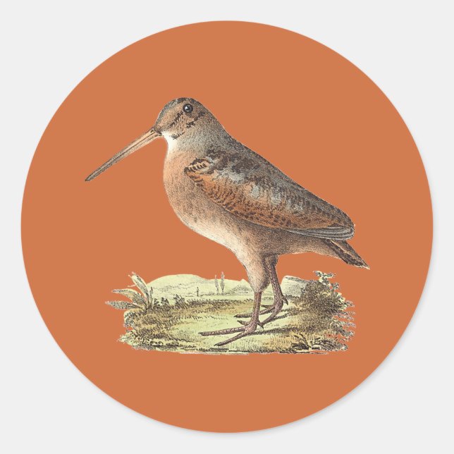 The American Woodcock (Rusticola minor) NY Bird Classic Round Sticker (Front)