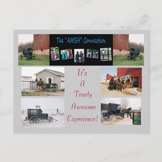 The"AMISH"Connection Postcard (Front)