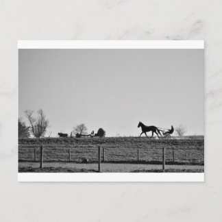 The Amish Country Postcard