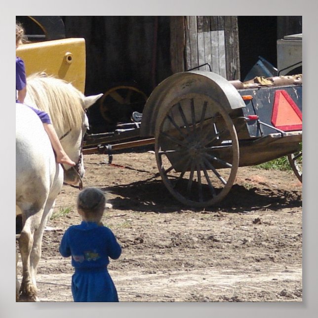 The Amish Girls and Their Horse Poster (Front)