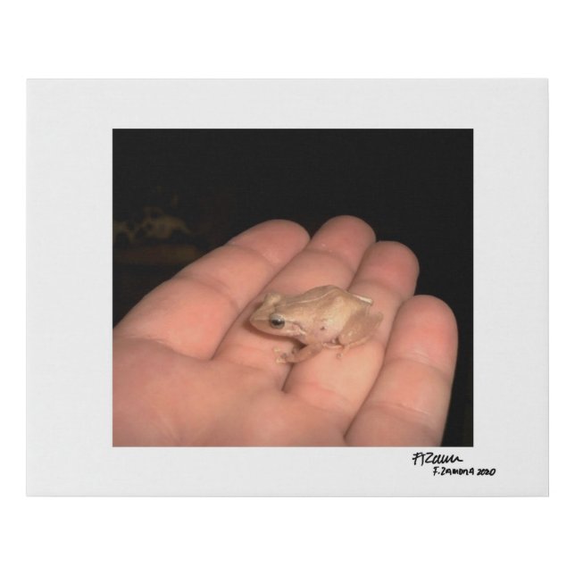 The Amphibian Faux Canvas Print (Front)