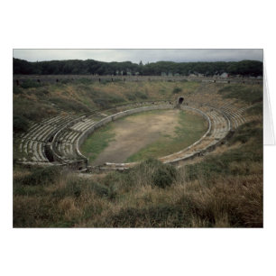 The Amphitheatre Cards