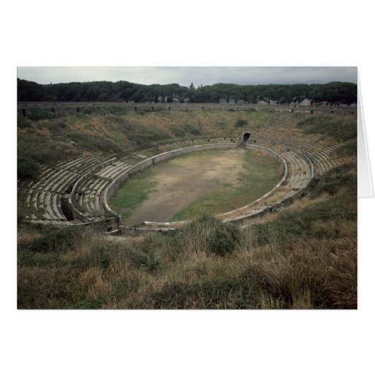 The Amphitheatre Cards (Front Horizontal)