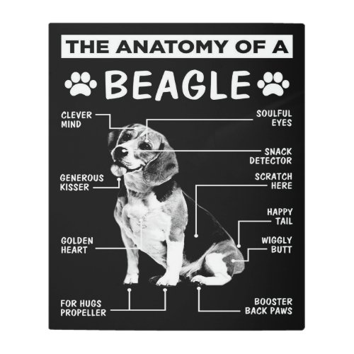 The Anatomy  Beagle Dog  Funny dog Metal Print