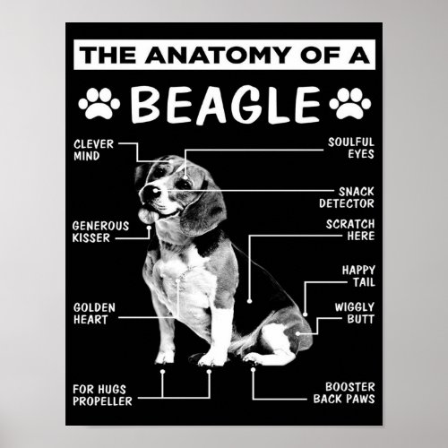 The Anatomy  Beagle Dog  Funny dog Poster