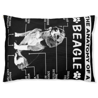 The Anatomy Of A Beagle Dog Pet Bed