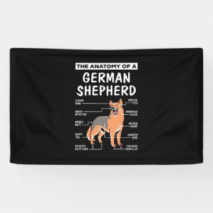 The Anatomy Of A German Shepherd Banner