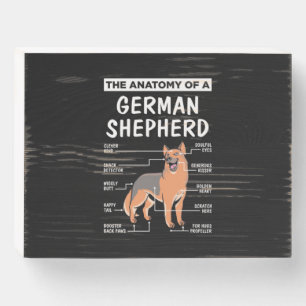 The Anatomy Of A German Shepherd Wooden Box Sign