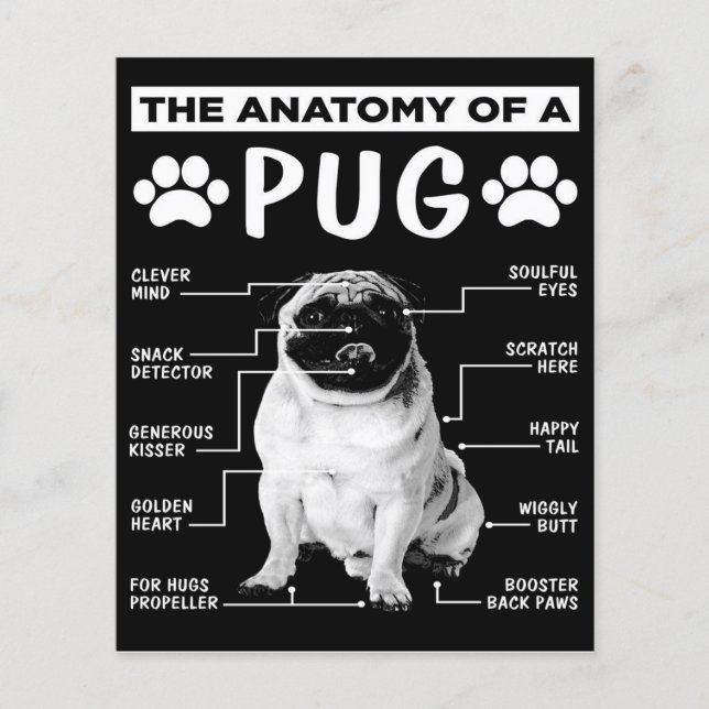 The Anatomy Of A Pug Dog Lover Flyer (Front)