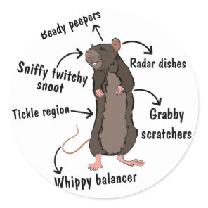 The Anatomy of a Rat Classic Round Sticker