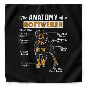 The Anatomy Of A Rottweiler Cool Dog Lover Bandana