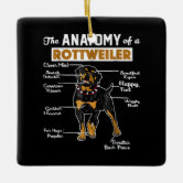 The Anatomy Of A Rottweiler | Cool Dog Lover Ceramic Ornament | Zazzle