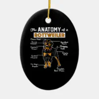 The Anatomy Of A Rottweiler | Cool Dog Lover Ceramic Ornament | Zazzle